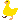 duck_img
